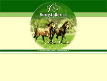Tablet Screenshot of burgstallerhof.com